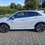 ACL surgery in older or higher BMI patients: Risks and adapted ...