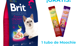 Premium Subscription Boxes with High Ticket Gear How to Sell and Monetise Your Monthly Box Service