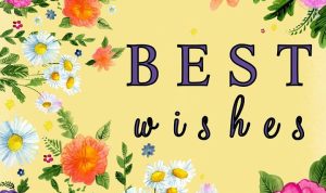 Bedste Ønsker Gul Blomst · Gratis billeder på Pixabay