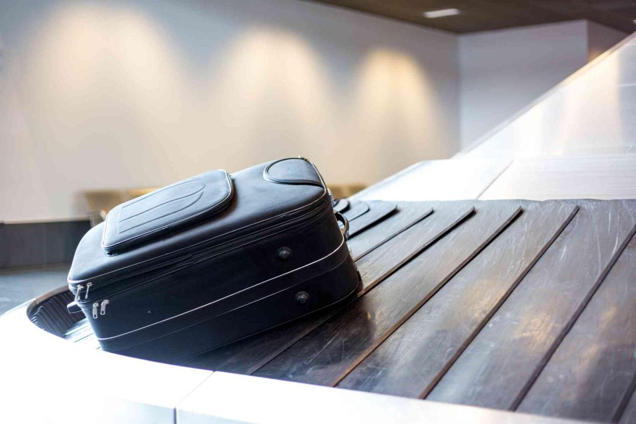 How to Choose the Best Luggage for Your Next Adventure - AESU