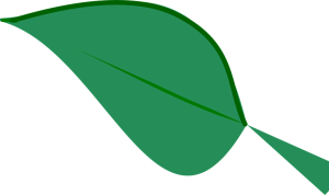 Aria di Troia e del preappennino febbraio 2017