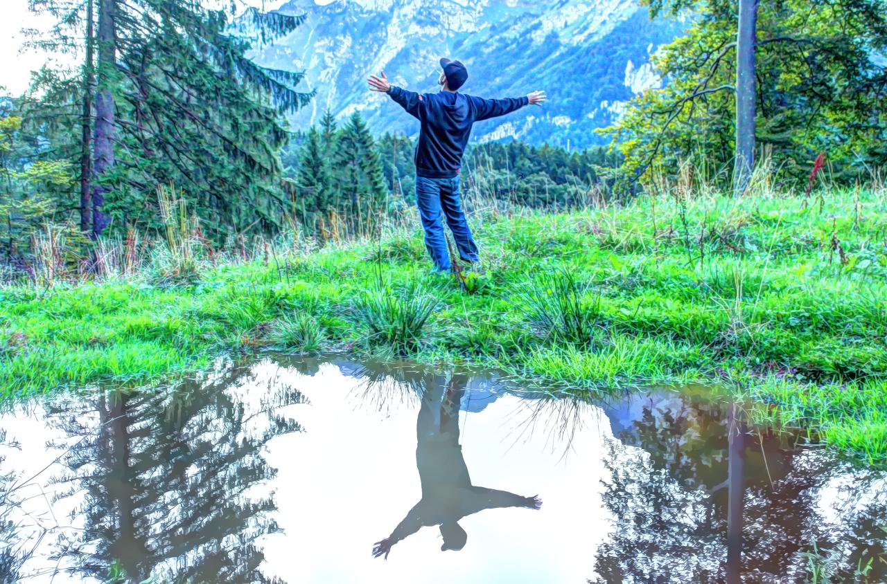 Free Images : nature, creative, photography, peace, freedom, weed, hdr ...