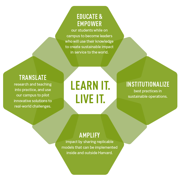 My reflection on my sustainability practices. – Lee's World of ...