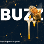 Build Online Store in Minutes, Best eCommerce Website Builder