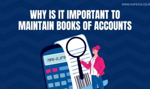 Why is It Important to Maintain Books of Accounts - Especia