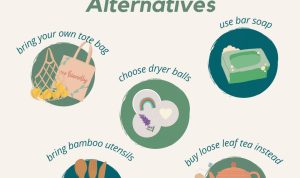 How to Reduce Plastic Waste: Eco-Friendly Alternatives That Work