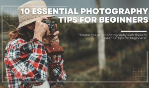 Beginner Photography Tips to Take Stunning Photos with Any Camera