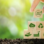 Why Eco-Friendly Packaging Matters: Benefits for Business & Planet