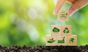 Why Eco-Friendly Packaging Matters: Benefits for Business & Planet