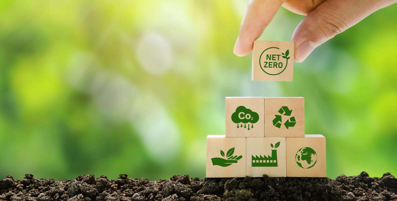 Why Eco-Friendly Packaging Matters: Benefits for Business & Planet