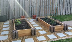 How to Create a Vegetable Garden at Home