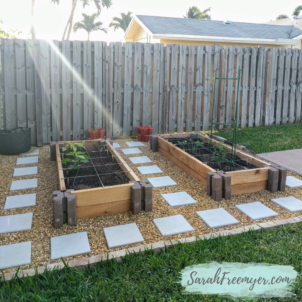 How to Create a Vegetable Garden at Home