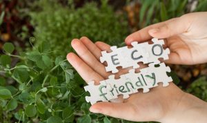Eco-Friendly Gardening: Simple Steps for a Greener Yard
