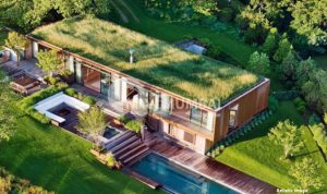 The Ultimate Beginner’s Guide to Eco-Friendly Living