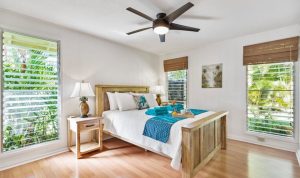 How to Create an Eco-Friendly Home on a Budget