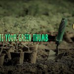 10 Proven Gardening Tips for Beginners