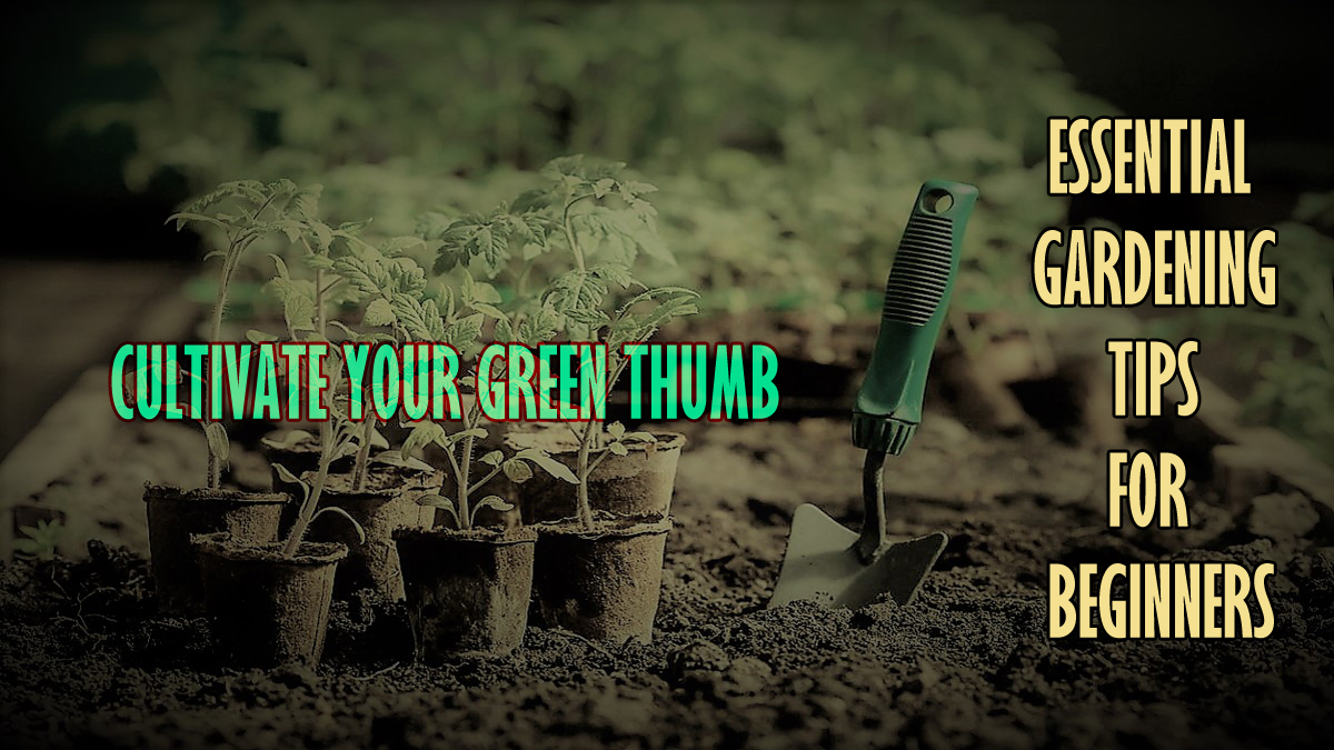 10 Proven Gardening Tips for Beginners