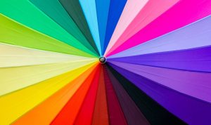 Understanding Color Theory: Tips for Visual Creatives