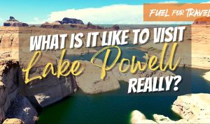 How to Improve Photography Skills: A Complete Step-by-Step Guide