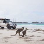 Hard Shell vs Soft Shell Travel Luggage: Which Is Better?