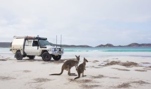 Hard Shell vs Soft Shell Travel Luggage: Which Is Better?