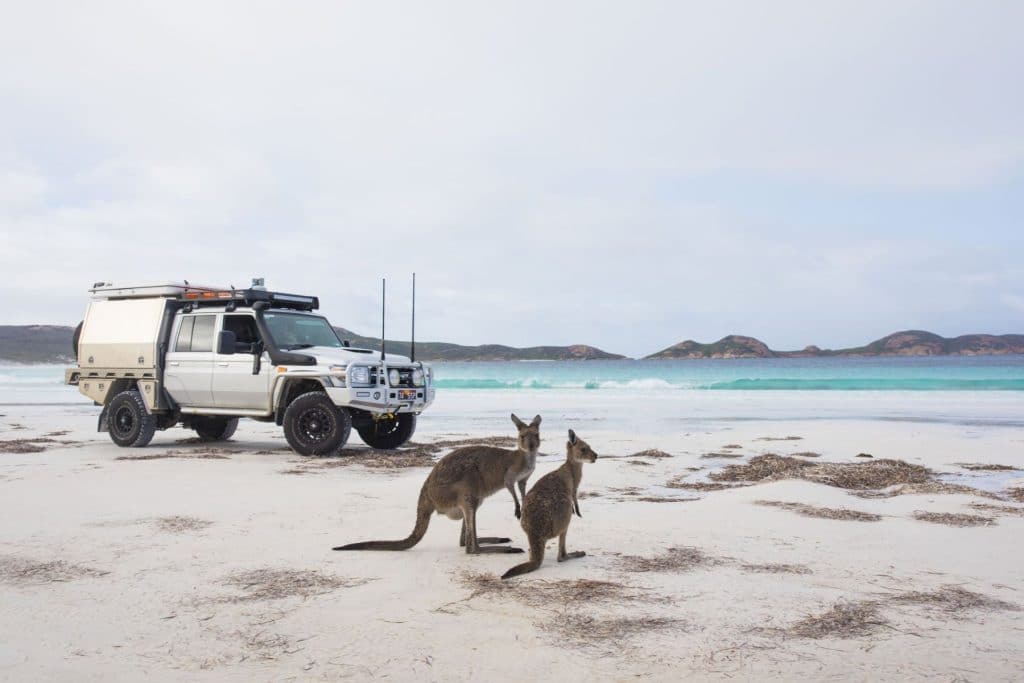 Hard Shell vs Soft Shell Travel Luggage: Which Is Better?